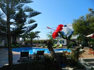 Ioanna Apartments Naxos Greece