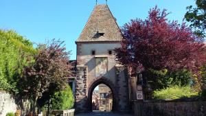 Maisons de vacances Gite Dans Cite Medievale : photos des chambres