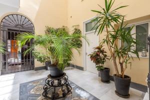 Apartamentos Mariscal