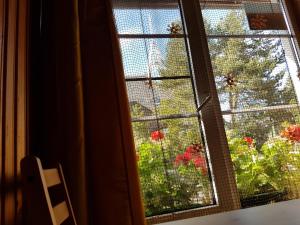 Mini Kotedžas Vakaris