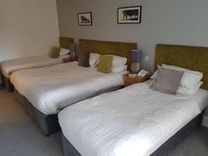 Standard Family Room room in The Cliff Hotel & Spa