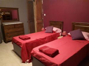 Nocturne Family House