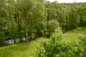 Ferienhaus am Rachental