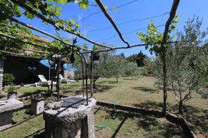 House Vidak 