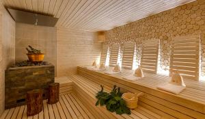 Hotel Dębowy Biowellness SPA Góry Sowie
