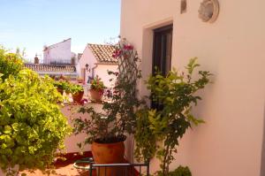 Penthouse Puerta de la Judería