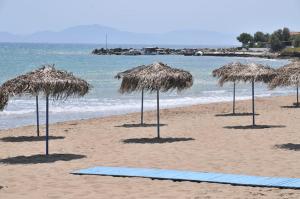 Helonata Apartments Ilia Greece