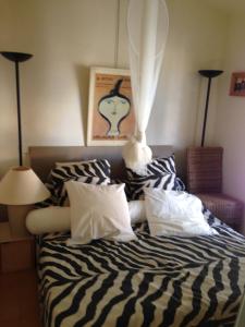 Lombre de la Glycine du Golfe de Saint Tropez