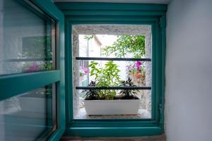 Apartment Delight City