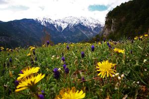 Summit Zero Hostel Olympos Greece