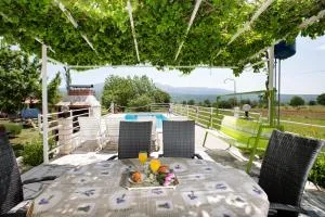 Villa with pool near Split - Mirić