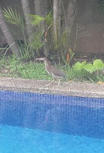 Hotel Portal Colonial