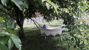 Charming House in Covelas with Pool and Mountain View