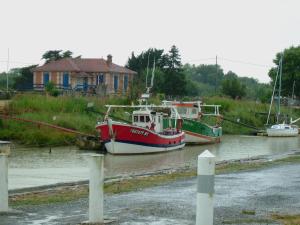 B&B / Chambres d'hotes La Halte de Segondignac : photos des chambres
