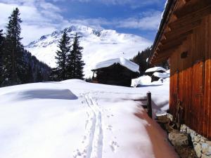 Ledererhof Apartments