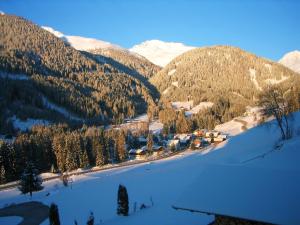 Ledererhof Apartments