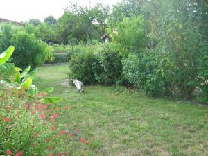 B&B / Chambres d'hotes La Halte de Segondignac : photos des chambres