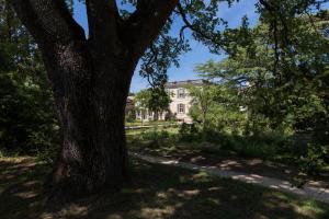 La Maison d'Amédée photo 18