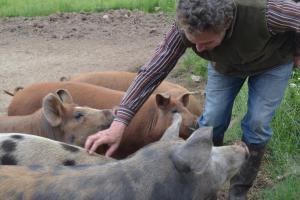 Sejours a la ferme Auberge BRIASSOU : photos des chambres