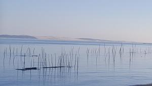 Campings Domaine Les Abberts : photos des chambres