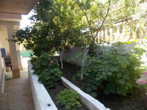 Guest house Vila Bega