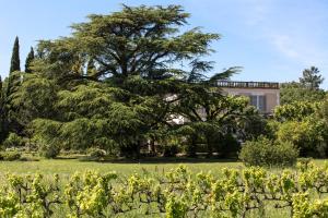 La Maison d'Amédée photo 9