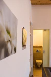 Pelegrin Apartment