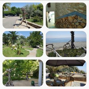 Hotels Levolle Marine : photos des chambres