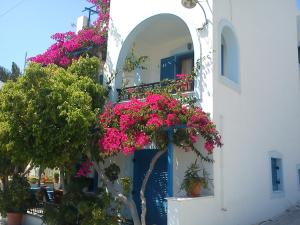 Rena Valetta Studios Naxos Greece
