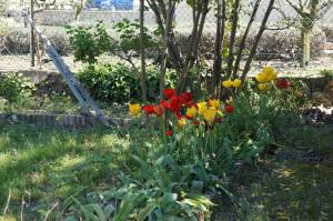 Appartements Appartement en Provence : photos des chambres