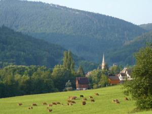 Maisons de vacances Les Cerisiers : photos des chambres