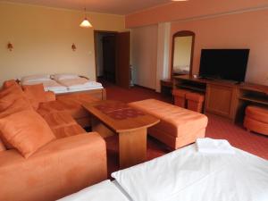 Triple Room room in Penzion Montana