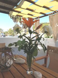 Theo's Vacation Home Skyros Greece