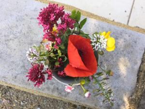 Bergerie de Lagarrigue