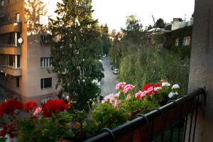 Apartment Classic Deco