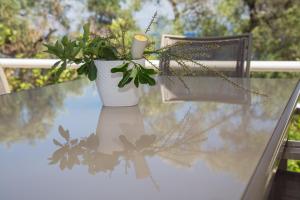 Brentanos Apartments - A - View of Paradise Corfu Greece