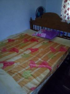 Wayanad Homestay