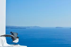 Canaves Oia Sunday Suites Santorini Greece