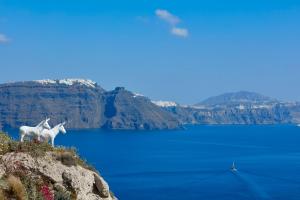 Canaves Oia Sunday Suites Santorini Greece