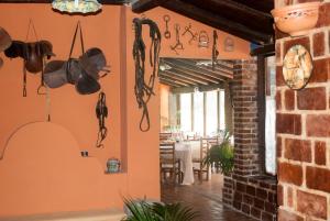 Agriturismo Fattoria di Grenne