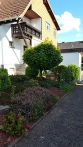 Suite Wohnung Emil19 Homburg Tyskland