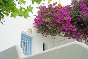 Yiannis Studios Paros Greece