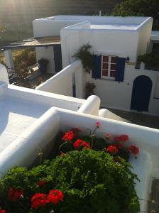 Galini Bungalows Tinos Greece