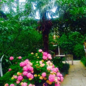 Colibri Home - Odilauri