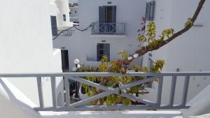 Matsas Windmill Paros Greece