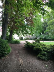 B&B / Chambres d'hotes Chateau de Saint-Agoulin : photos des chambres