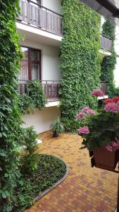 Вилла Каштан - Кабардинка