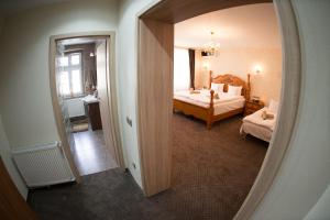 Deluxe Apartment room in Hermannstadt House 1