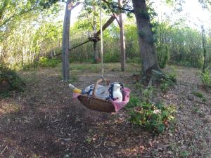 Maisons de vacances O Bois Dormant : photos des chambres