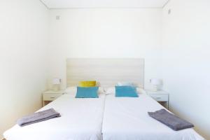 Cats Hostel San Sebastian